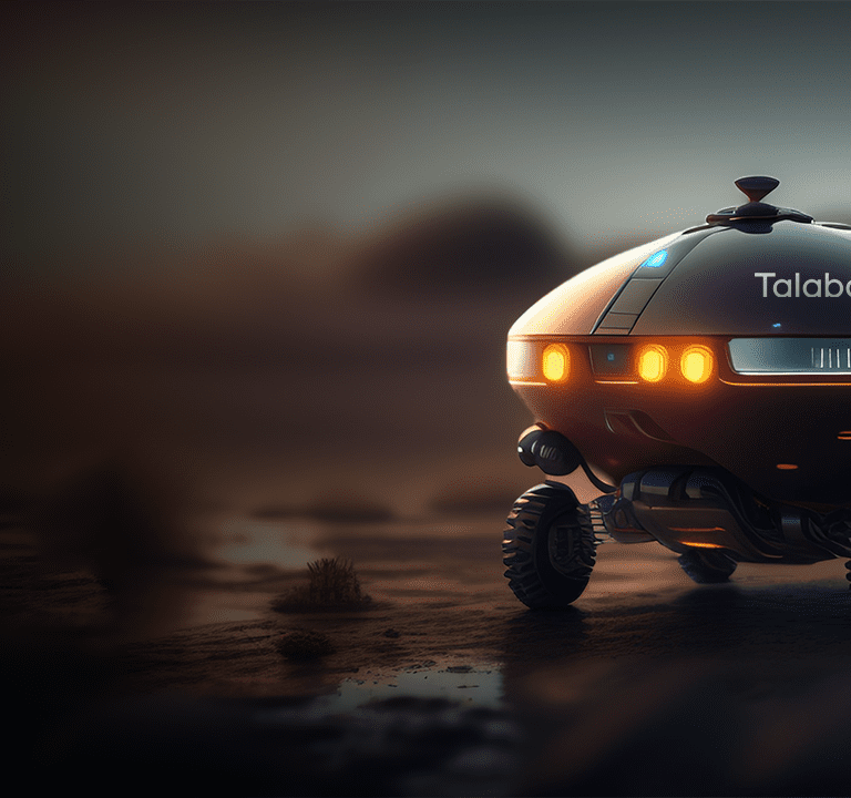 Talabots – Food Delivery Robots