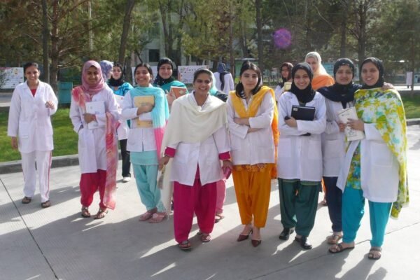 Punjab recruit retired teachers