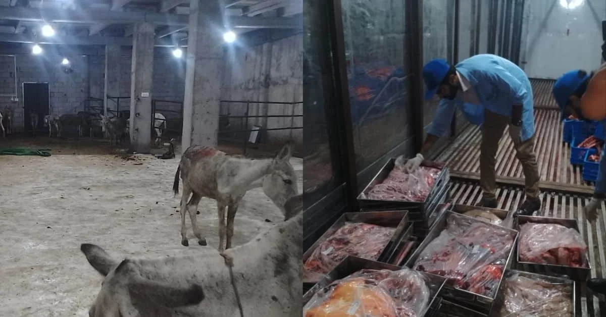 Donkey meat racket in Islamabad