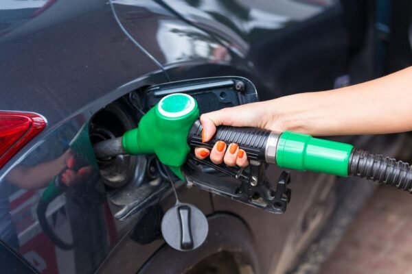 Govt Increase petrol prices