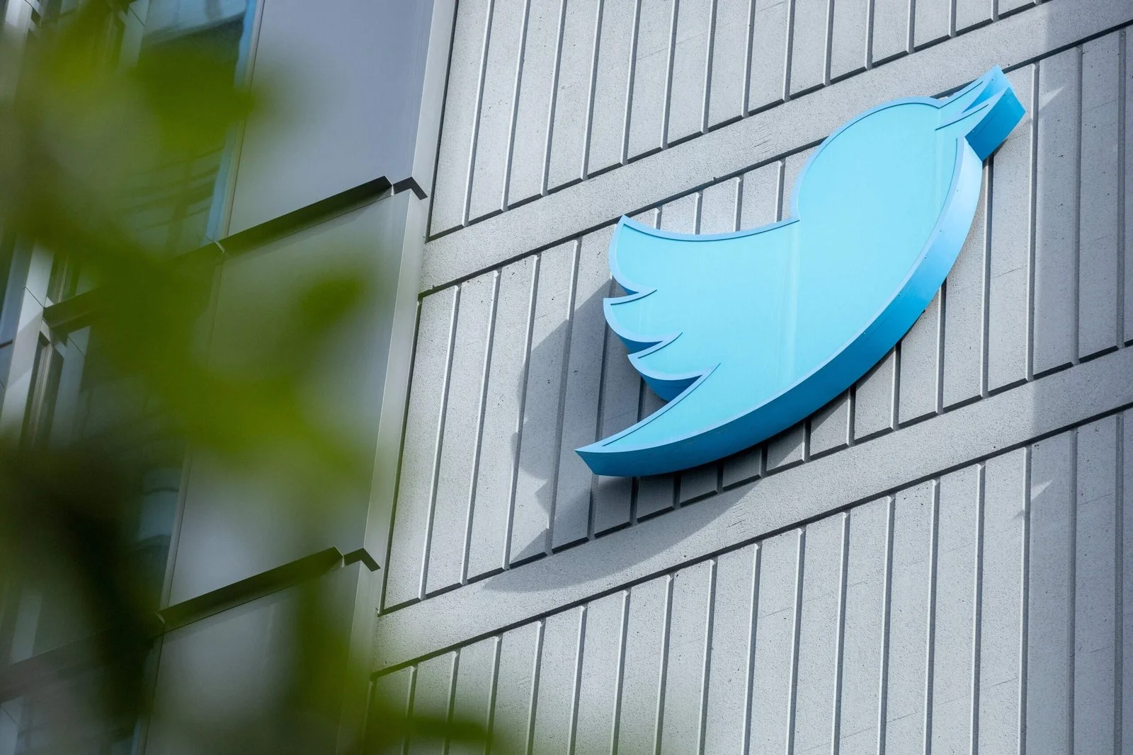 Elon Musk Twitter signs auction