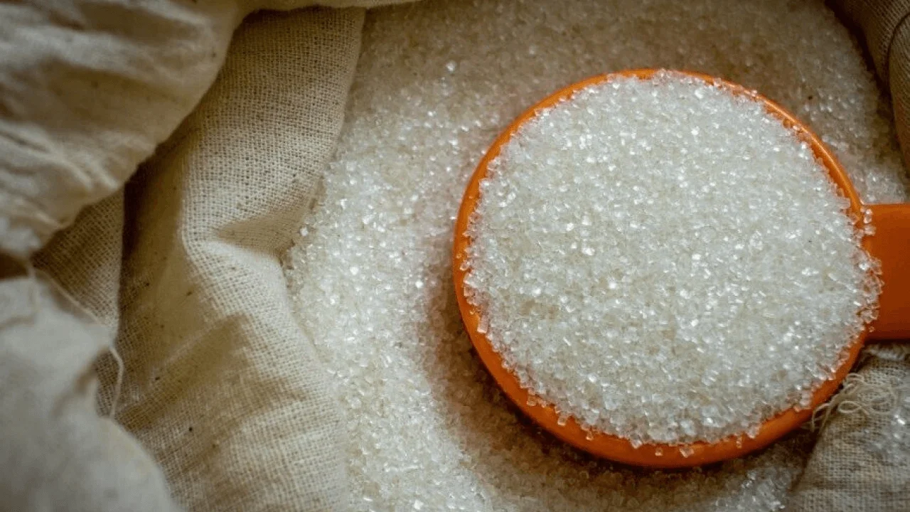 ECC Sugar Export Approval