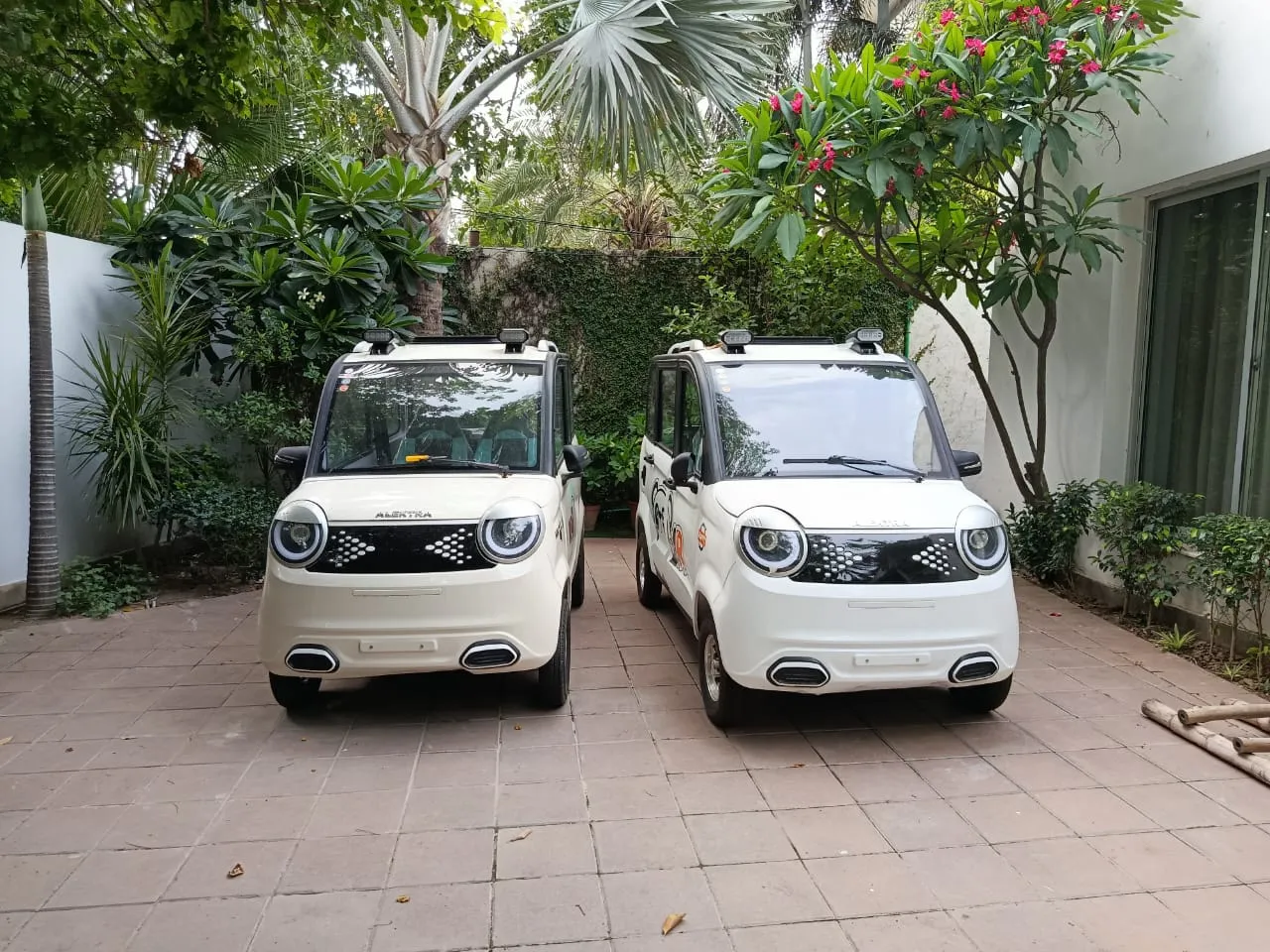 Alektra Metro EV Pakistan